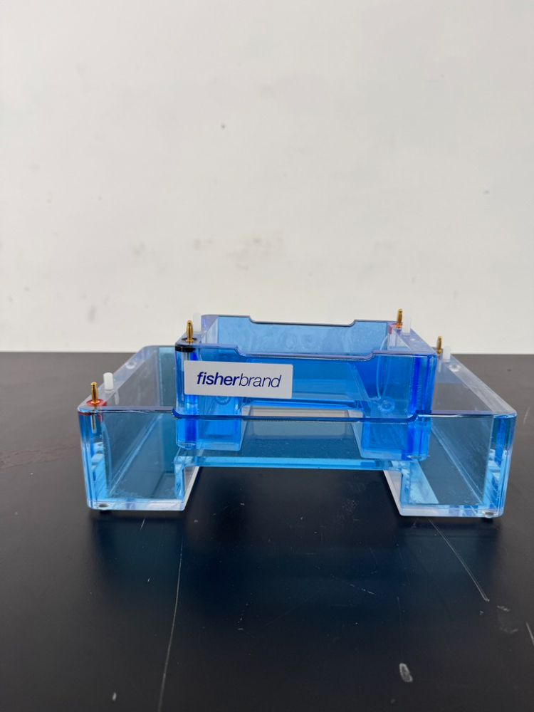 Image of Fisherbrand Gel Boxes
